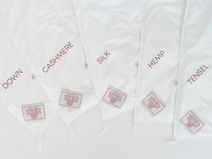 Одеяло German Grass Alliance Down&Silk Grass всесезонное/всесезонное Light 220х240