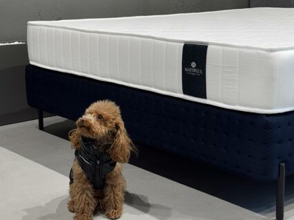 Матрас Materlux Makenberra Forte 80х190