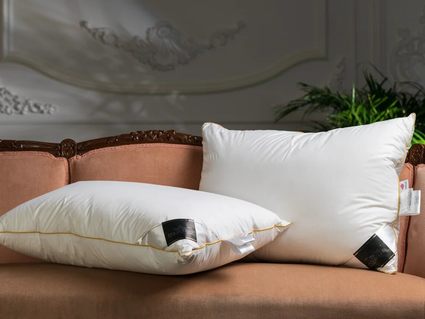 Подушка Trois Couronnes Clima Night Goose Down Pillow 386