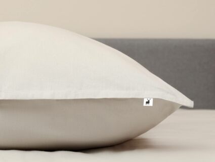 Комплект постельного белья Софи де Марко Сэнди (св. серый) Siberia 70х70 2-спальный