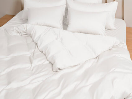 Наволочка German Grass Arctic White Brilliant Grass (2 шт.) 50х70