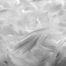 Подушка Nature’S-Natura Sanat Для мужчин 70х70
