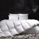 Одеяло German Grass EXCLUSIVE COTTON EIDER DOWN теплое 240х260